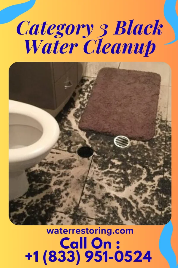 Category 3 Black Water Cleanup in Providence, KY